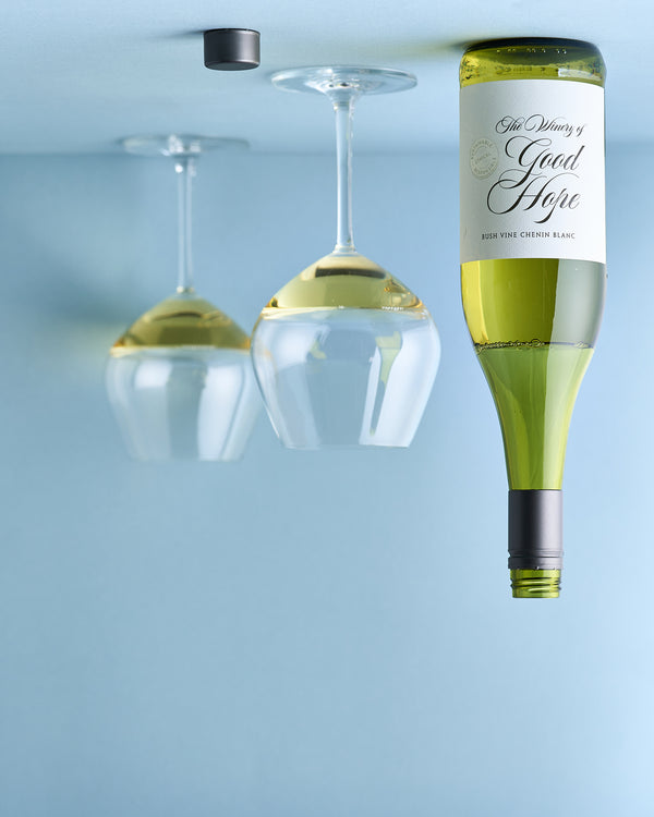 Bushvine Chenin Blanc (Stellenbosch)