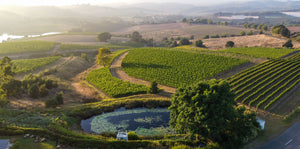 Tim James: Organic wine farming in Elgin