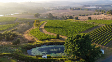 Tim James: Organic wine farming in Elgin