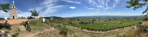 Alex Dale: From Burgundy Roots to a Belief in South African Wine