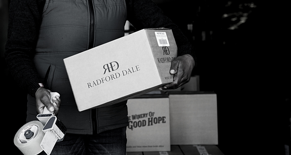 Curated Radford Dale Mixed Cases