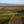 The Case for Organic - a Mixed case