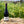 Organic Freedom Pinot Noir (Elgin)