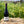 Load image into Gallery viewer, Organic Freedom Pinot Noir (Elgin)
