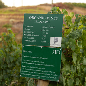 Green gamay sign with vineyard information in an organic vineyard setting