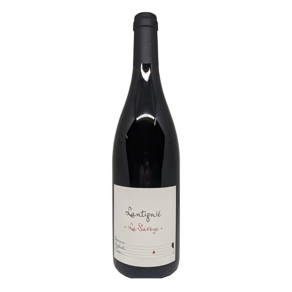 Discover Gamay