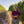 radford dale winemaker